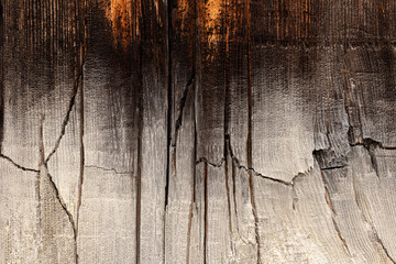 Burnt wood texture with cracks. Abstract background.