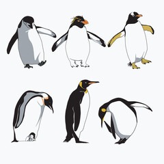 Fototapeta premium Cute penguins dancing in the arctic cold
