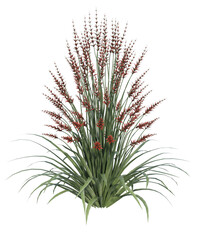 Albero con e senza foglie di vari colori verdi, gialle, rosse o, arancioni o multicolore fondo trasparente e isolato