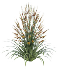 Albero con e senza foglie di vari colori verdi, gialle, rosse o, arancioni o multicolore fondo trasparente e isolato