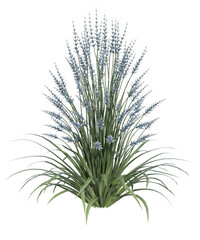 Albero con e senza foglie di vari colori verdi, gialle, rosse o, arancioni o multicolore fondo trasparente e isolato