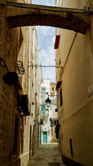 Il borgo fortificato di Monopoli sul mar Adriatiso. Bari, puglia,Italia