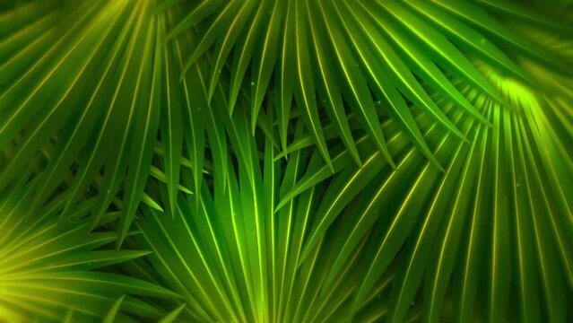 moving palm leaves, animated background animation