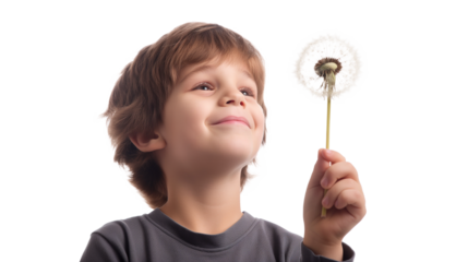 Boy with Dandelion in the Park isolated on a transparent background