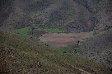 Fototapeta premium nature of the karaftu area in Kurdistan Province, iran 