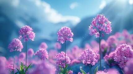 Fototapeta premium flowers in the garden