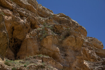 Fototapeta premium nature of the karaftu area in Kurdistan Province, iran 