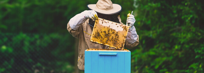 Baner, pszczelarz trzymający plaster miodu z pszczołami. Miejsce na tekst. © malgo_walko