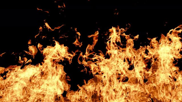 flame wall background. flames of a fire. fire wall background. inferno on black background. screen of burning flames