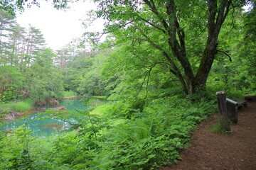 五色沼