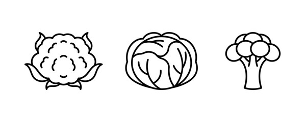 Vegetable line icons - cauliflower, cabbage, broccoli. Edible green plants.  Different type of cabbages. Minimalist simple linear illustration. Editable icons, thin line