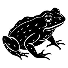 Toad vector  Silhouette illustration and svg