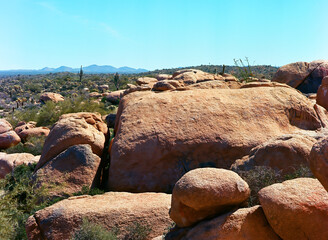 Central Sonora Desert Arizona