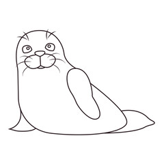 Seal animal vector emoji illustration