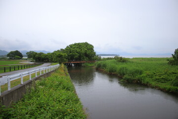 道路　自然