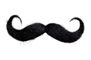 Black moustache isolated on transparent background