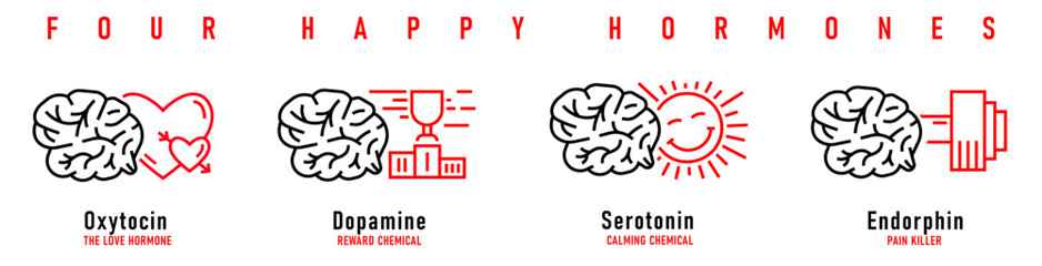 Four happy hormones. Dopamine, endorphin, serotonin, oxytocin