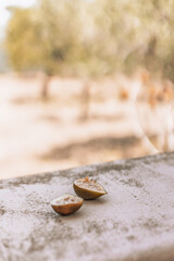 figi w gaju oliwnym słodki owoc letni 