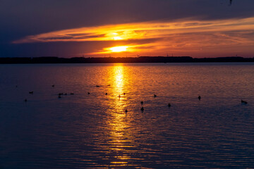 Sonnenuntergang am Veluwemeer in Richtung Ijsselmeer mit Windr&auml;dern in der Ferne