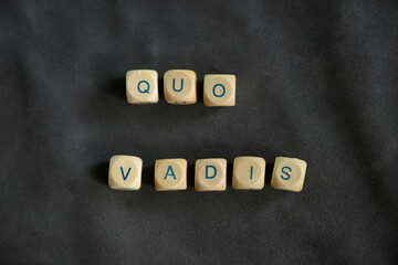 Buchstabenwürfel, Holzwürfel, quo vadis