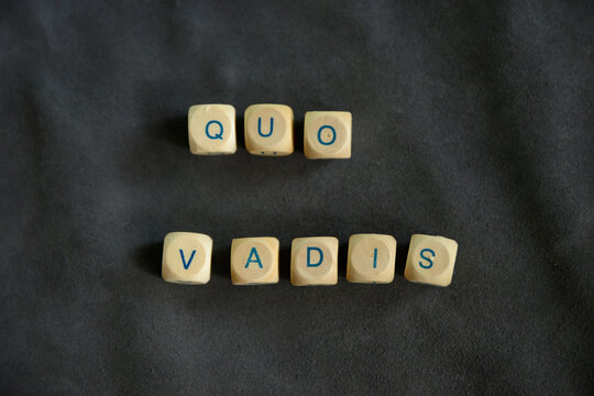 Buchstabenw&uuml;rfel, Holzw&uuml;rfel, quo vadis