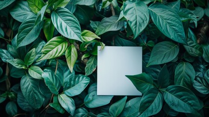 Obraz premium Blank white card or paper mockup on green leaf background. Nature concept for message, text, or advertising.
