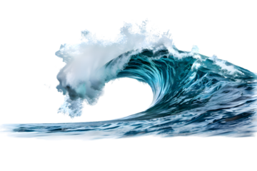 Sea wave floating isolated on transparent background
