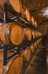 Oak barrels in the cellar of the winery	