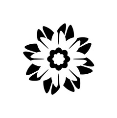 Beautiful flower on transparent background. Spring flower graphic design