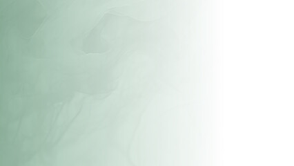 Fototapeta premium Green to white wallpaper. Elegant gradient Background fading from Green to White. Green Abstract background Flowing White from Right to Left. features a captivating display of vibrancy. Copy Space