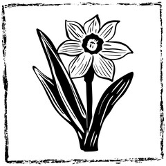 Hand-drawn vector daffodil flower clipart in scandi folk art style in block print style. Simple monochrome linocut illustration.