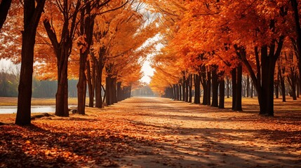 A scenic view of a forest with orange autumn leaves carpeting the ground