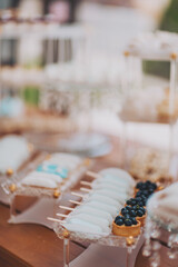 Wedding candy bar. Delicious creamy desserts with fruits, macarons, cakes and cookies on table at wedding reception in restaurant. Luxury catering service. Delicious wedding reception candy bar. 