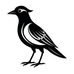 Flat Vector Illustration Silhouette Beautiful Birds collection | Bird Icon symbol Silhouette vector illustration isolated on a white background