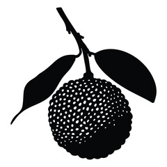 Lychee silhouette, Lychee with leaves hand-drawn vector illustration