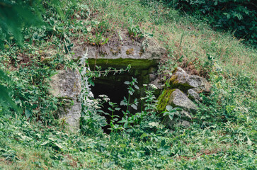 Overgrown with green moss and weeds, entrance to stone cellar in forest. Abandoned cellar, dugout.