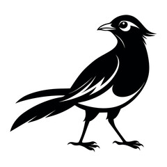 Flat Vector Illustration Silhouette Beautiful Birds collection | Bird Icon symbol Silhouette vector illustration isolated on a white background