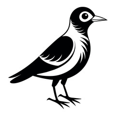 Flat Vector Illustration Silhouette Beautiful Birds collection | Bird Icon symbol Silhouette vector illustration isolated on a white background