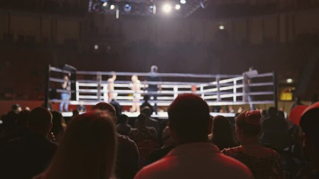A crowd of people are watching a boxing match