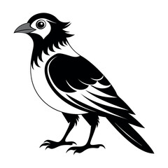 Flat Vector Illustration Silhouette Beautiful Birds collection | Bird Icon symbol Silhouette vector illustration isolated on a white background