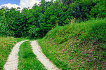 Naklejka premium Calm landscape with trees, country road, sky with clouds. Country road in green forest in summer.