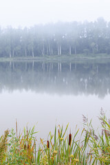 A beautiful summer morning with a fog over the lake. Natural misty scenery of rural Latvia, Northern Europe.