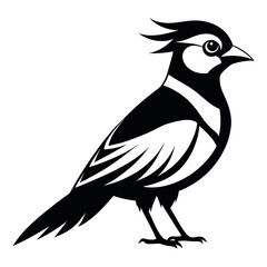 Flat Vector Illustration Silhouette Beautiful Birds collection | Bird Icon symbol Silhouette vector illustration isolated on a white background
