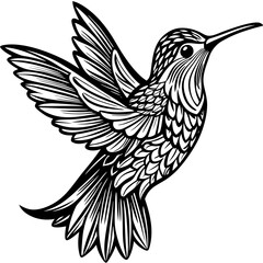 illustration of a bird