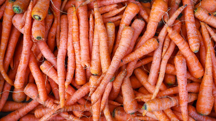 A vibrant display of freshly harvested carrots with their bright orange hues filling the frame. A Close-Up View of Freshly Harvested Carrots Backgrounds.