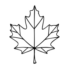 maple leaf silhouette vector art illustration