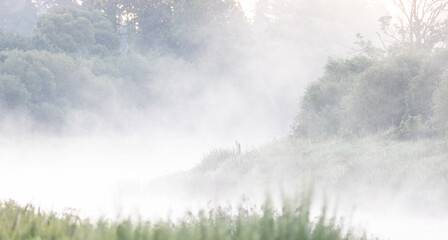 A beautiful misty summer morning at the banks of the river. Natural landscape of rural Latvia.