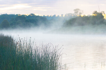 Fototapeta premium A beautiful misty summer morning at the banks of the river. Natural landscape of rural Latvia.