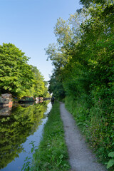 Canal towpath and reflections on a perfectly still summer morning in portrait orientation