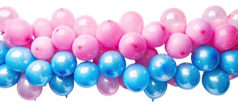Blue and pink balloons for gender reveal isolated on transparent background.